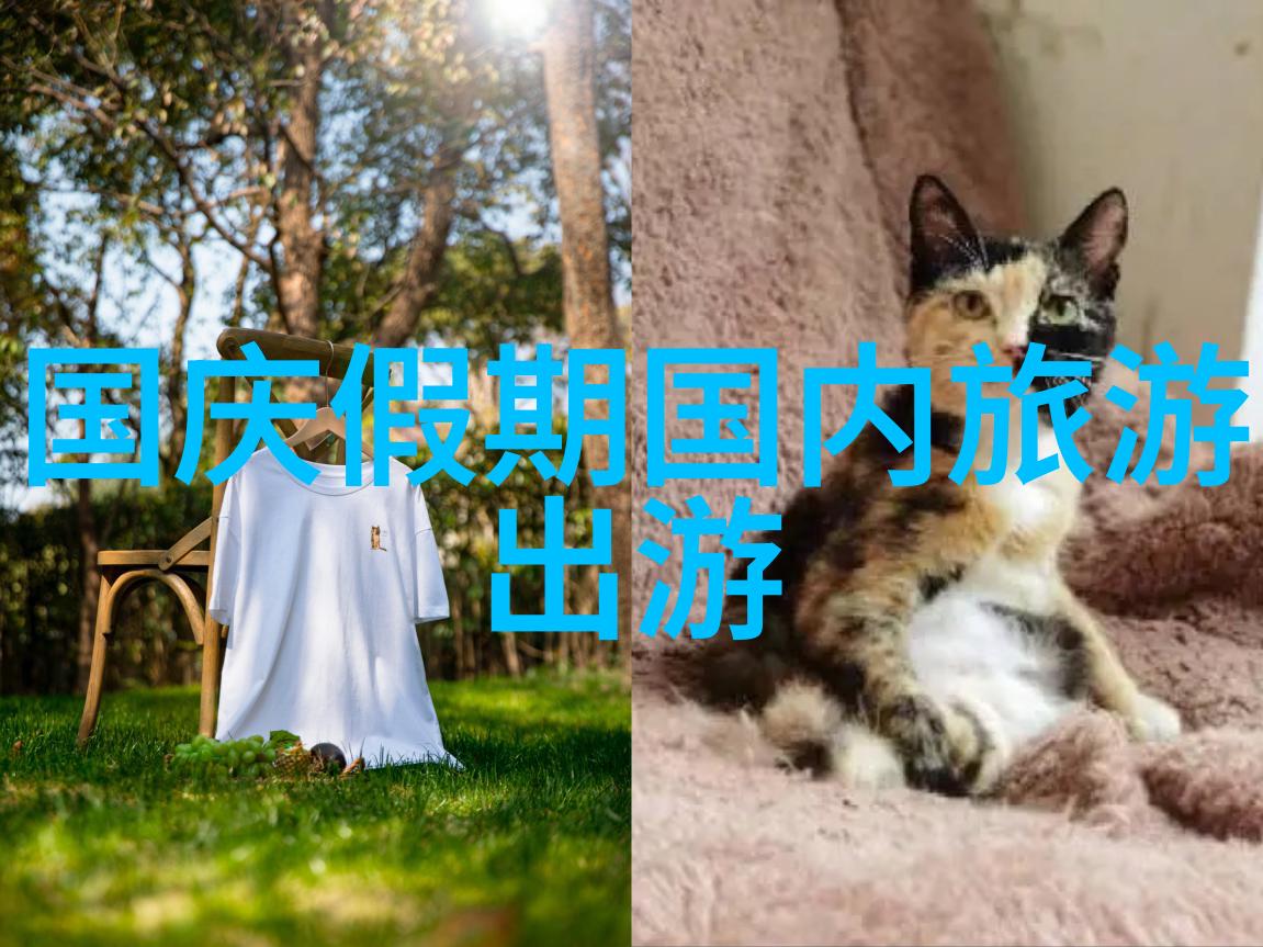 拓展童心探索儿童拓展训练项目的魅力与实用性