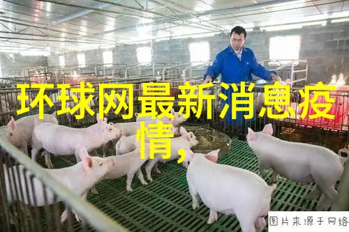 团队协作的乐趣简单好玩游戏集合