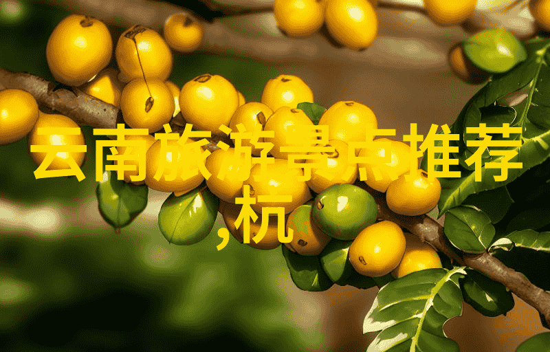 跨海之旅与边境探索出国游和出境游的秘密差异是什么