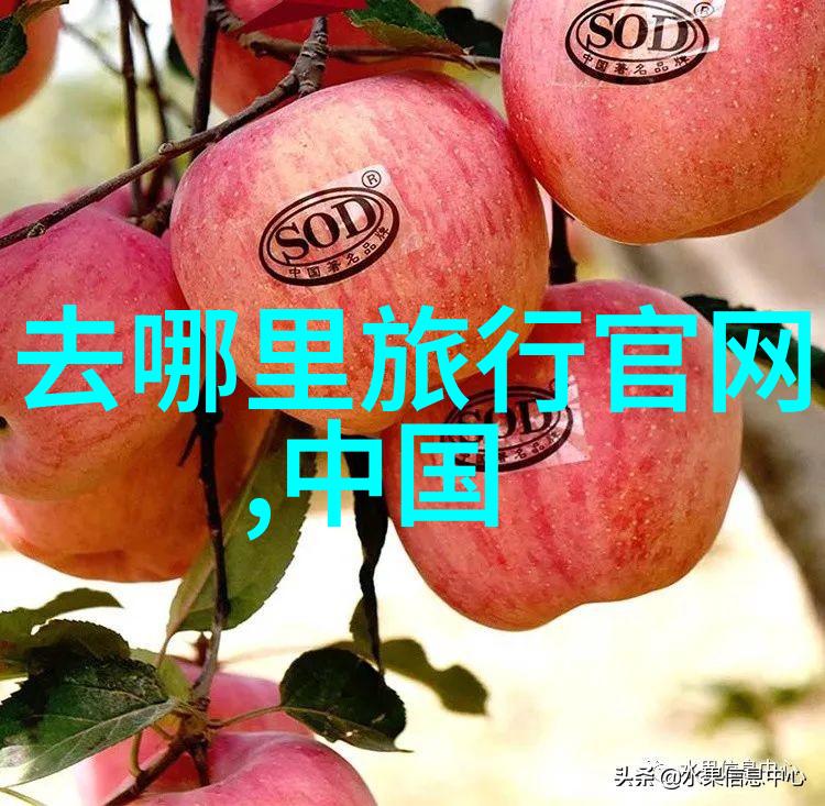 丽江古城游记我的青春时光在这里流转