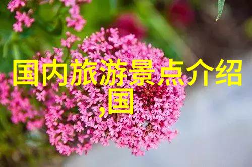 十一旅游线路客赞网引领社交旅行新潮流