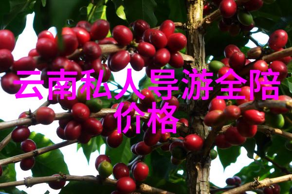 广袤的天际之下初二学生游记作文中的壮丽景色蓝天白云下的童年回忆