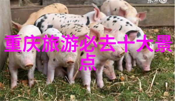 小班户外探索日记细节记录与观察思考