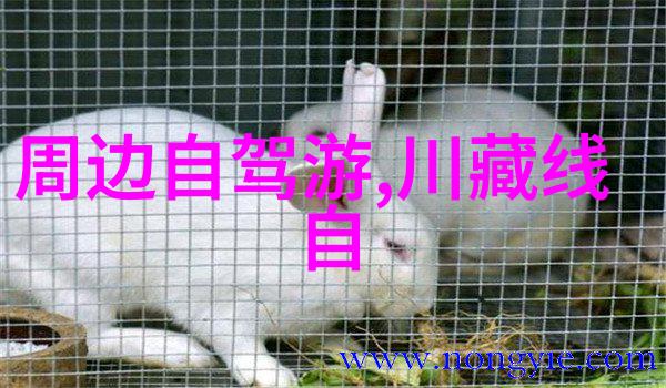 山城悠然曲阜住宿指南