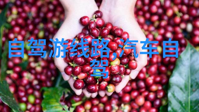 丽江古城文化艺术节体验彝族传统与现代创意融合