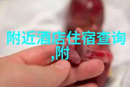 风驰电掣探索边界的自由之旅