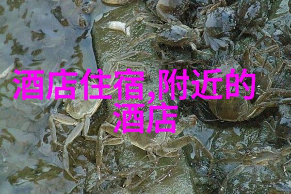 在上海100以内的住宿中难道没有一家碧桂园凤凰酒店能带你进行眼睛的旅行吗体验VR技术让你仿佛置身于不