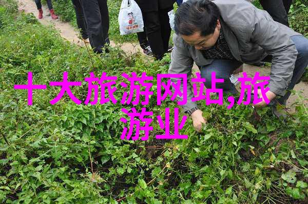 近郊游憩胜地推荐探索周边美丽景点