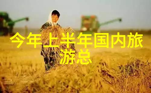 夏日旅行指南8月最佳目的地探秘