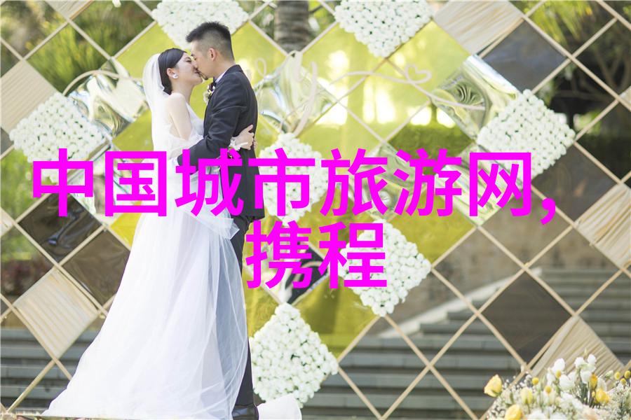 折叠自行车的诱惑与风险理智选择的考量