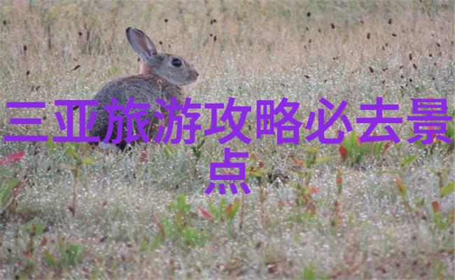 宝马车湿透了才坐得上三根手指宽的公交车