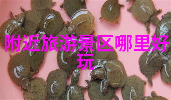 青岛翡翠海岸3天游生态旅游年春意盎然的张家界探秘