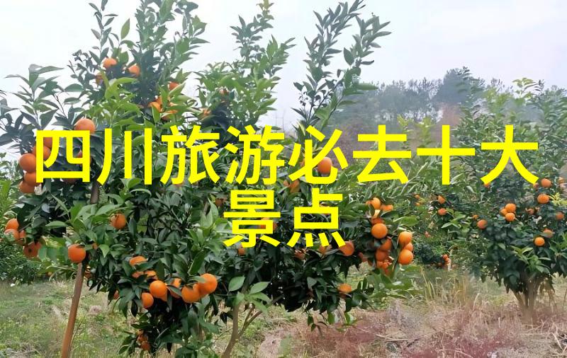 新乡旅游住宿攻略来我这儿探险
