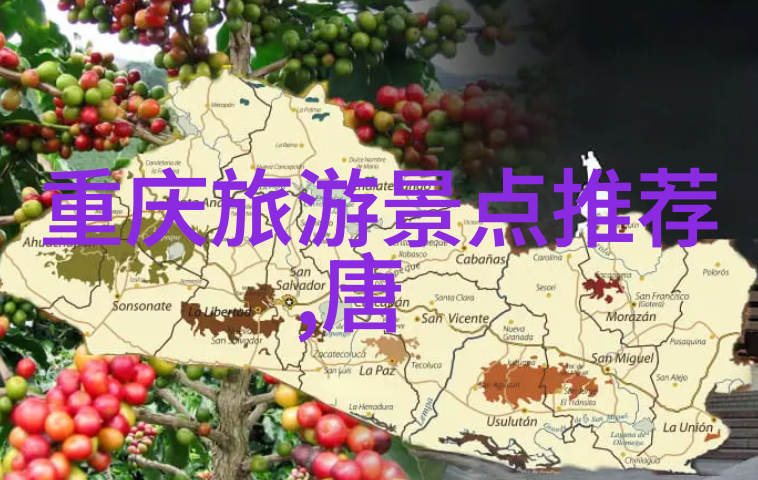 东江湖酒店房价详解与精彩照片展览
