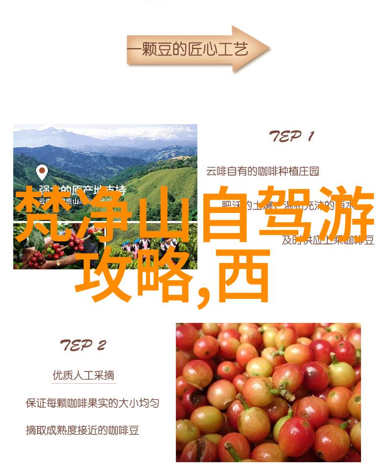 探索自然乐趣幼儿园户外100种游戏体验