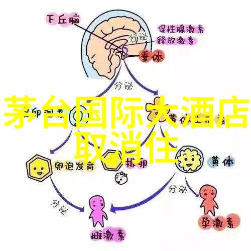 探索湘美湖南旅游地图的秘密花园