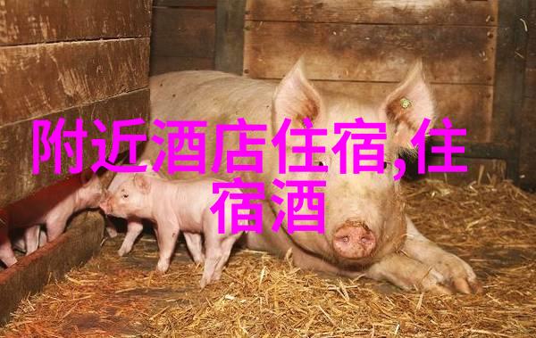 北京周边的紫薇田园梦想