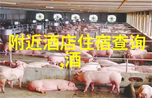 冒险旅行适合勇敢追求刺激者的冒险目的地有哪些呢