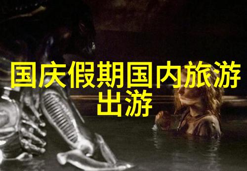 骑行装备全解析从头到尾让你征服每一段路程
