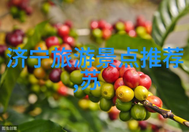 小学三年级游记作文300字探寻童年冒险的足迹