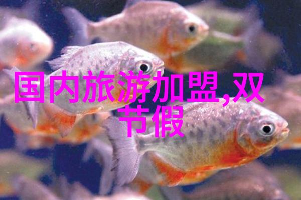 探索无限导游之家电子导游入口开启文化旅程新篇章