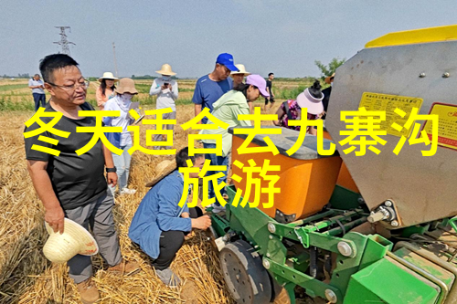 广西旅游我在桂林山水甲天下一路风景一段旅行记