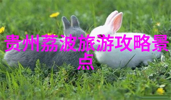 速度与激情的完美结合极速骑行4破解版评测