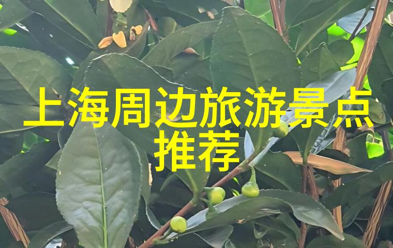 吉尼斯的惊叹南昌二十六只青花罐亮相红色旅游百条精品线路