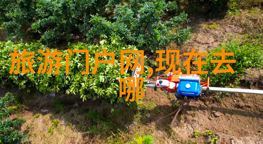 中国政府放宽政策外国人入境恢复
