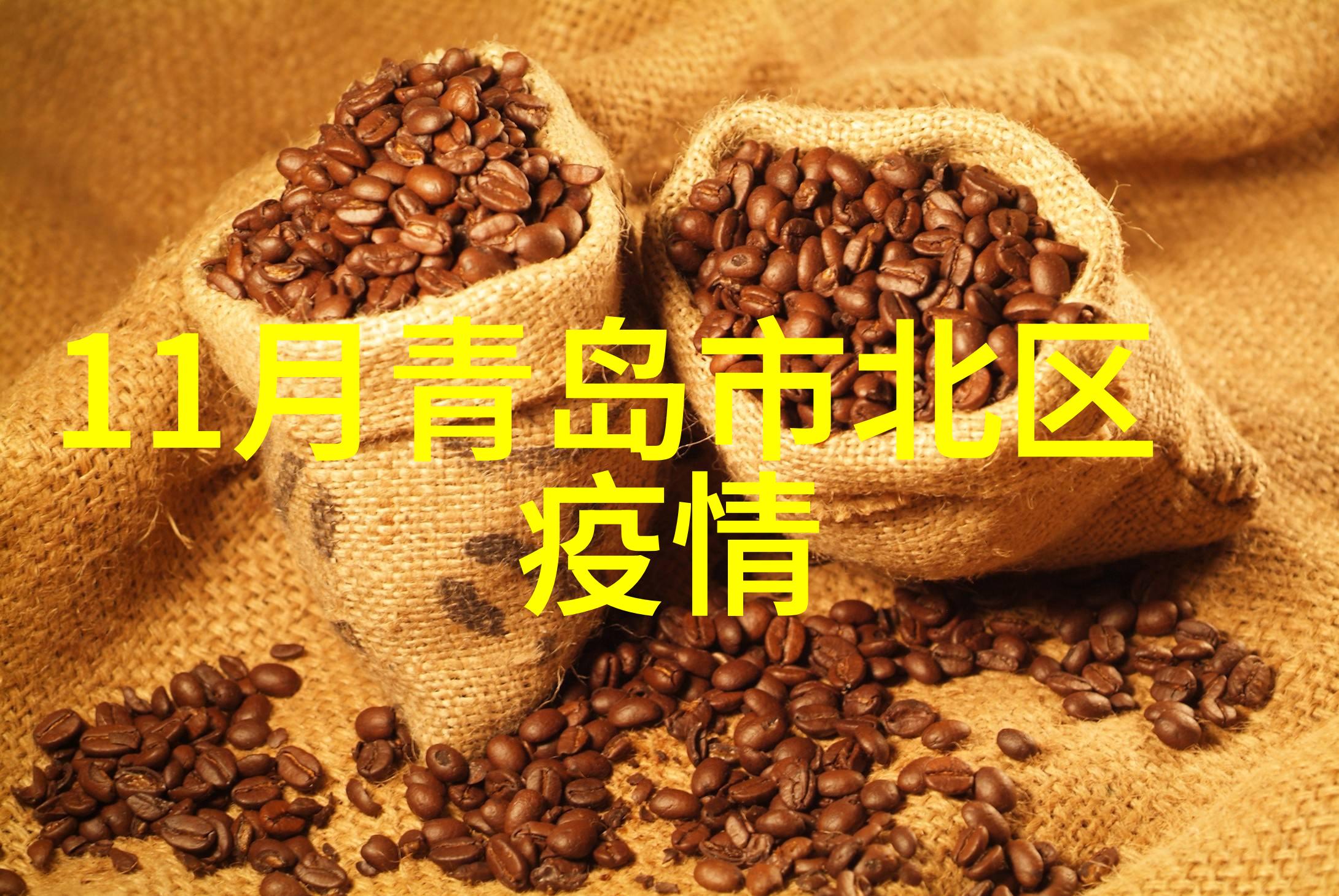 3月春暖花开探索最佳旅行目的地