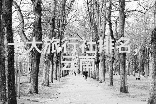 15款提高团队协作效率的小游戏活动