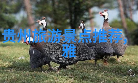探索西藏风情骑行川藏线最佳时机揭秘
