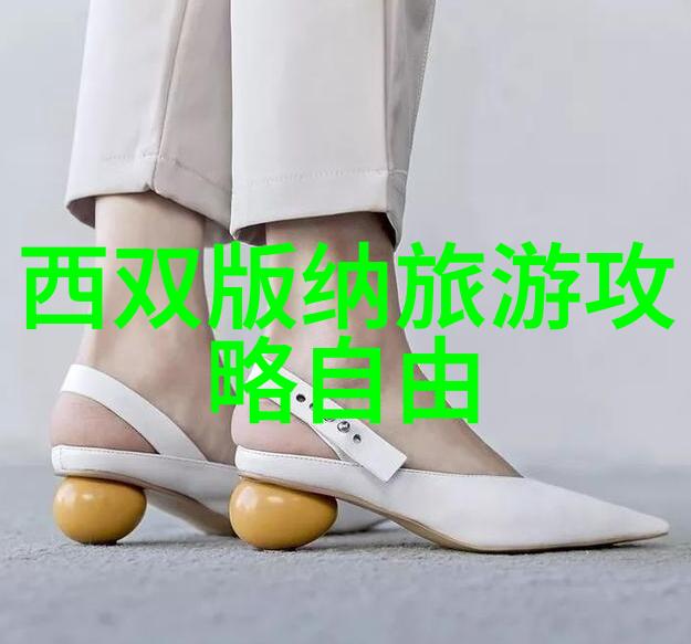 探秘西双版纳发现南国情怀的攻略指南