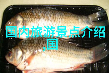 2020安吉观音堂滑雪场开放时间探索冬日奇妙世界幼儿园20个有趣户外小游戏的滑雪乐章