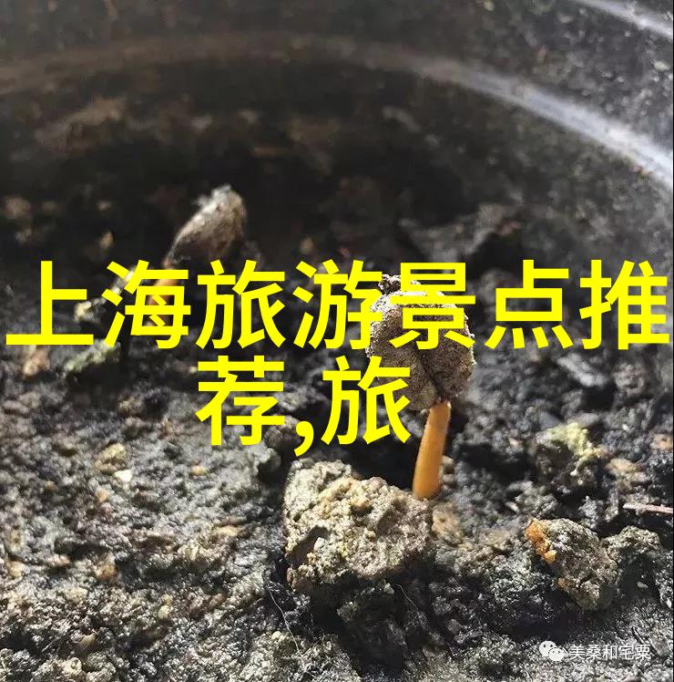 秋意浓时的逆袭之旅10月国内最佳目的地揭秘
