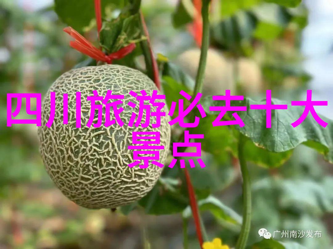 南京口味风尚揭秘这座城市最受欢迎的十家饭店