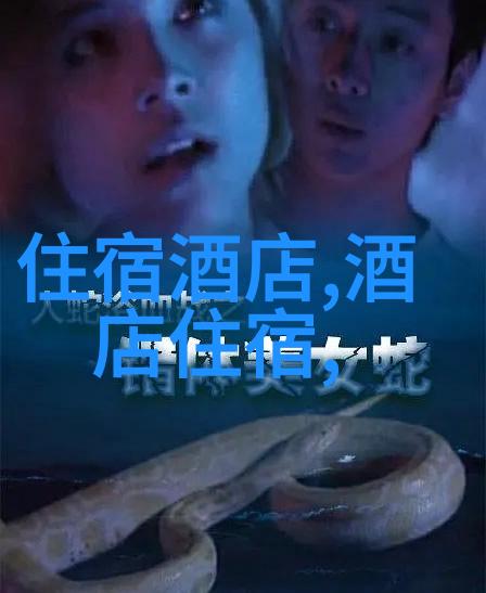从国际机场到市中心最经济高效的出行方式是什么