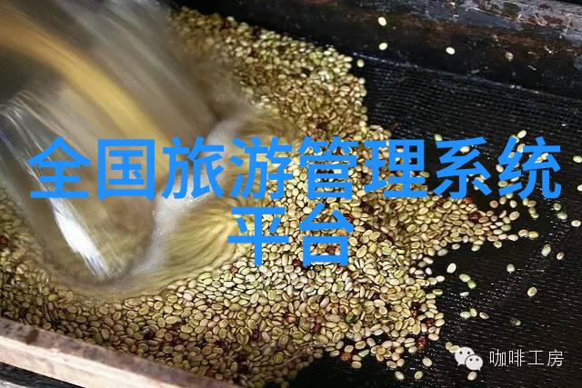 学生户外运动图片我院学生欢乐探险拍照留念的美好时光