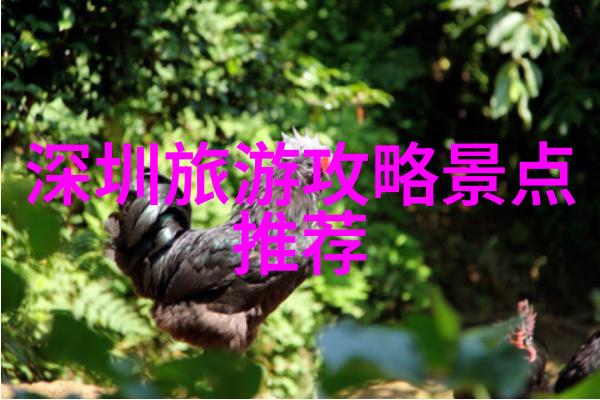 团体性趣味活动-探索共鸣团队协作下的乐趣与成长