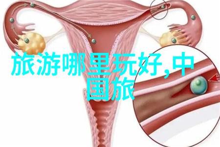 探索保定美一站到底的自驾游指南