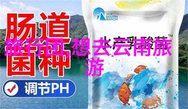 西游记的主题和寓意在当代社会依然具有何种启示意义