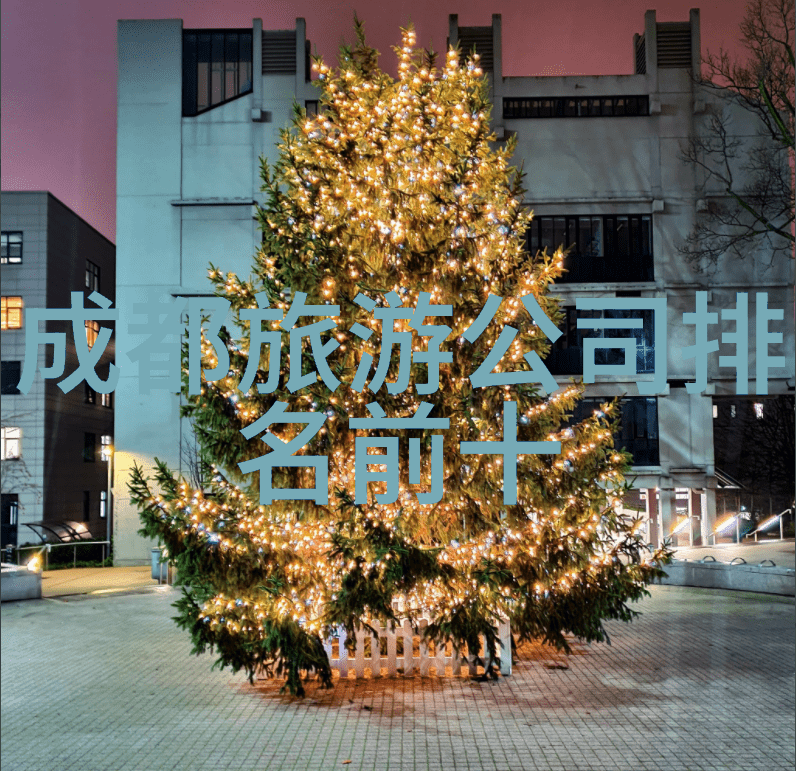 温泉酒店-沐浴在热情的源泉之中探秘理想度假胜地