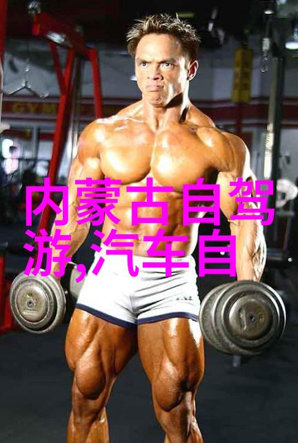 上海美食之冠东坡肉的传说与魅力