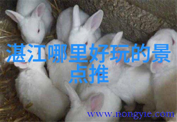 旅途中的家园寻找最好的泉州火车站附近民宿选择