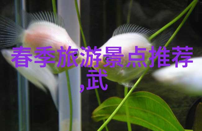 世界上最令人惊叹的旅游景点是什么