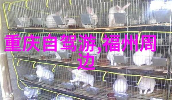 三十分钟让你桶快速入门指南