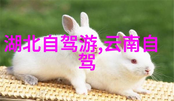 从经典到改编张纪中版西游记能否保持原著魅力