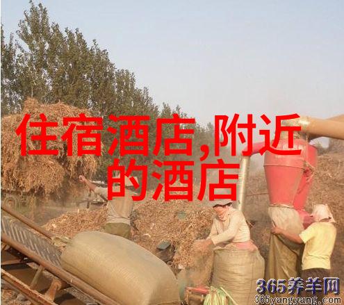 探索贵州奇迹云雾缭绕的风情之旅